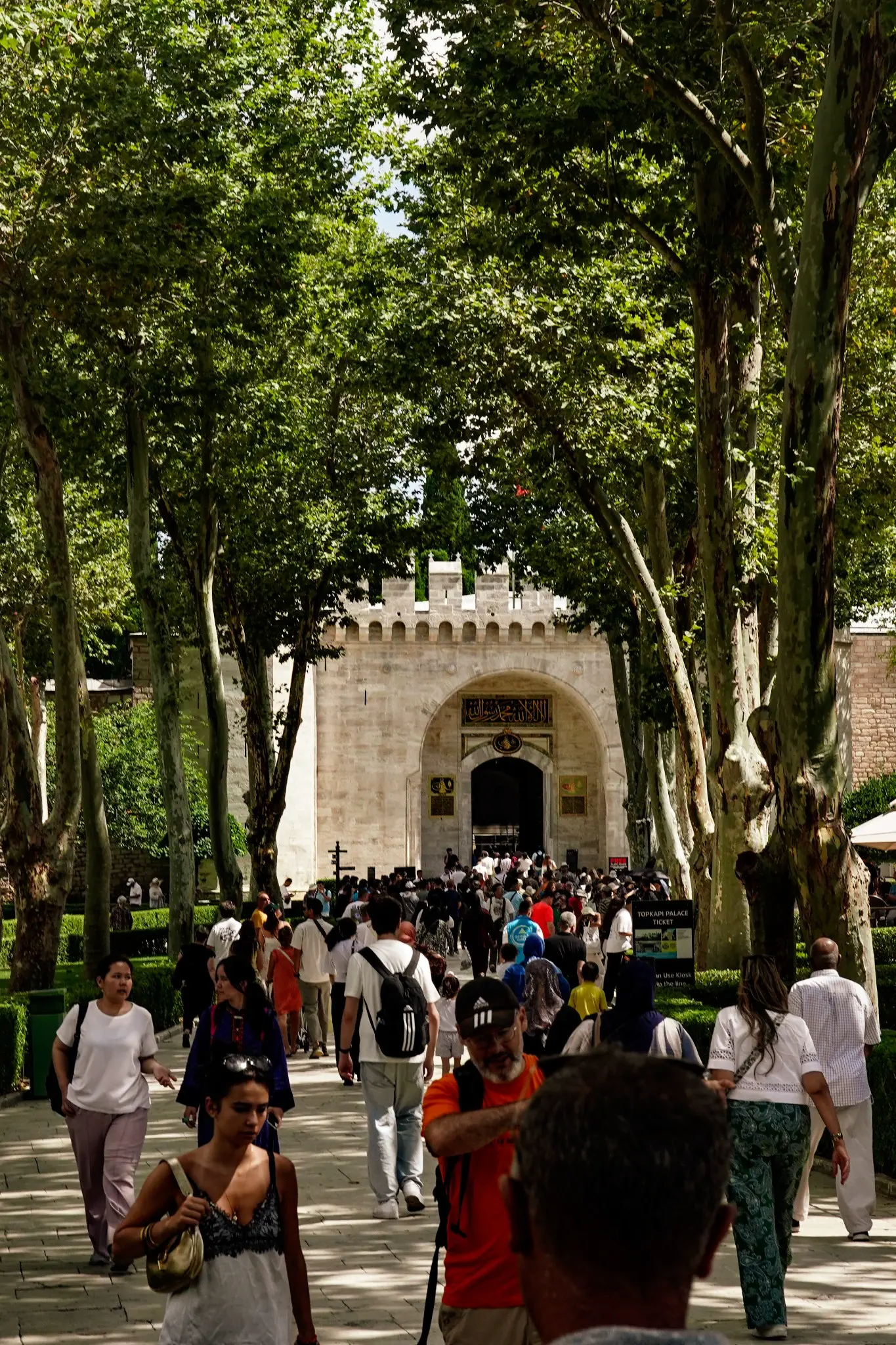 The plane-tree avenue through the First Courtyard, crowded with visitors walking towards the Gate of Salutation.